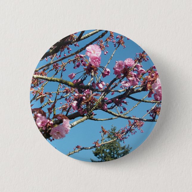 spring cherry blossom 2 inch round button (Front)