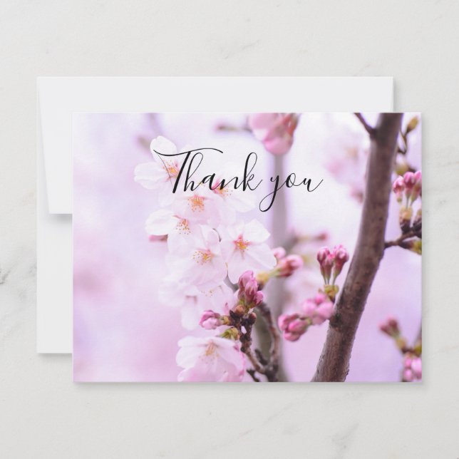 Spring Cherry Blossom Floral Sakura Thank you  Card (Front)