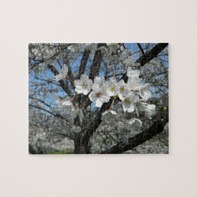 Spring Cherry Blossoms Jigsaw Puzzle (Horizontal)