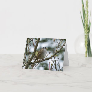 Spring Chickadee Card