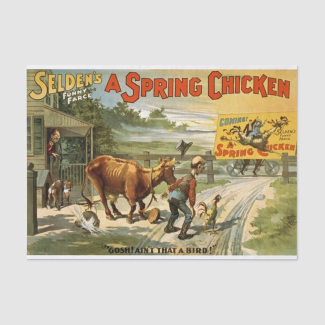 Spring Chicken Decoupage Tissue Paper (Front)