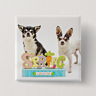 Spring Chihuahua's 2 Inch Square Button