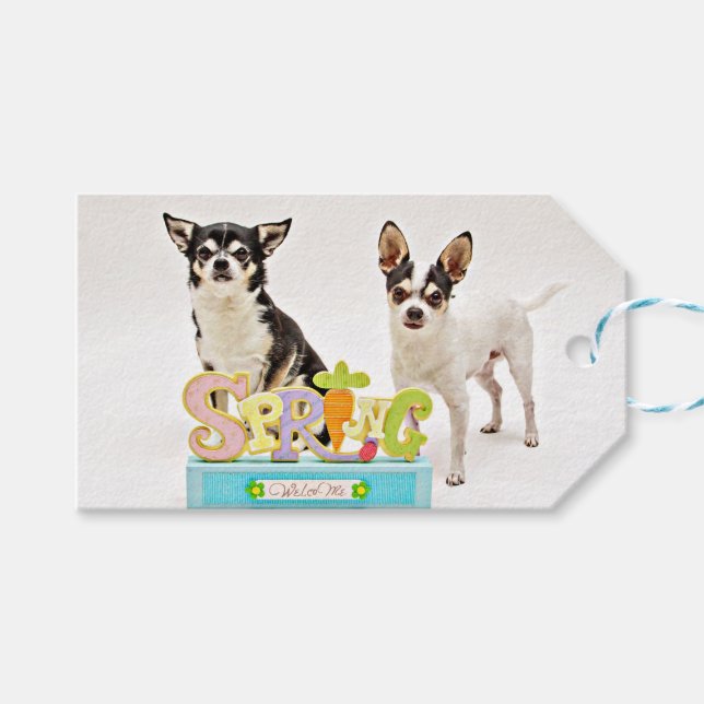 Spring Chihuahua's Gift Tags (Front (Horizontal))