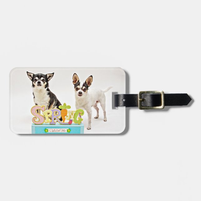 Spring Chihuahua's Luggage Tag (Front Horizontal)
