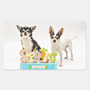 Spring Chihuahua's Sticker