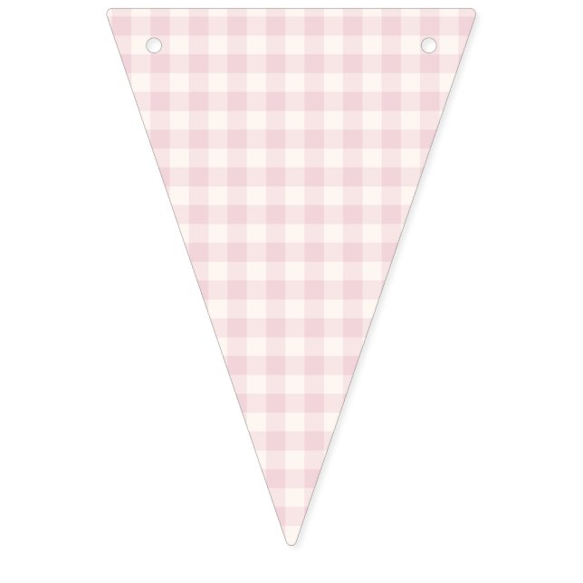 Spring Classic Gingham | Soft Blush Bunting Flags (First Flag)