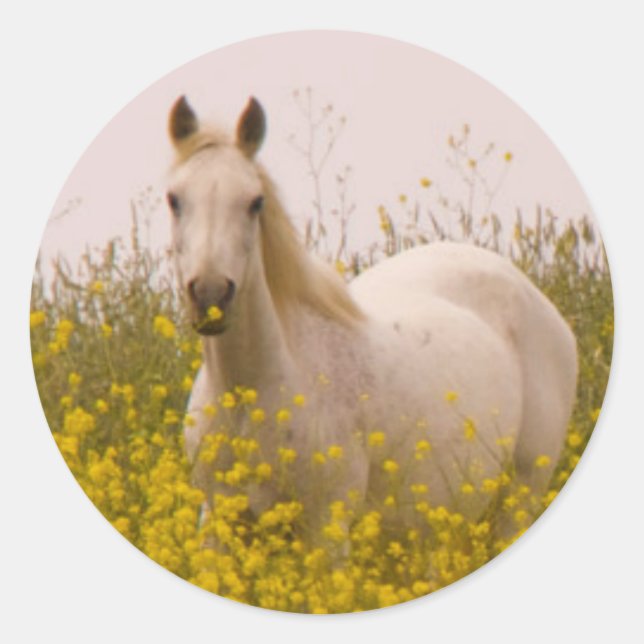 Spring Classic Round Sticker (Front)