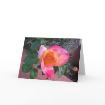 Spring Colours Thank You Card
