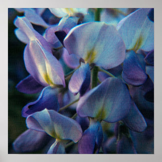 Spring Creations Poster