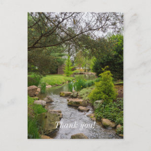 Spring Creek Beauty Postcard