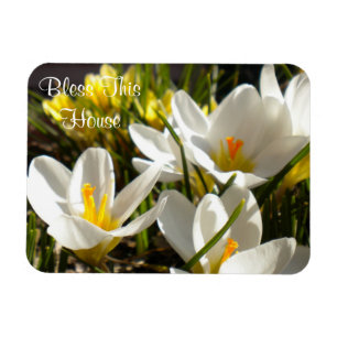Spring Crocus "Bless This House" Magnet