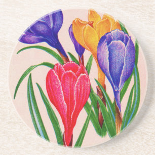 spring crocus coaster