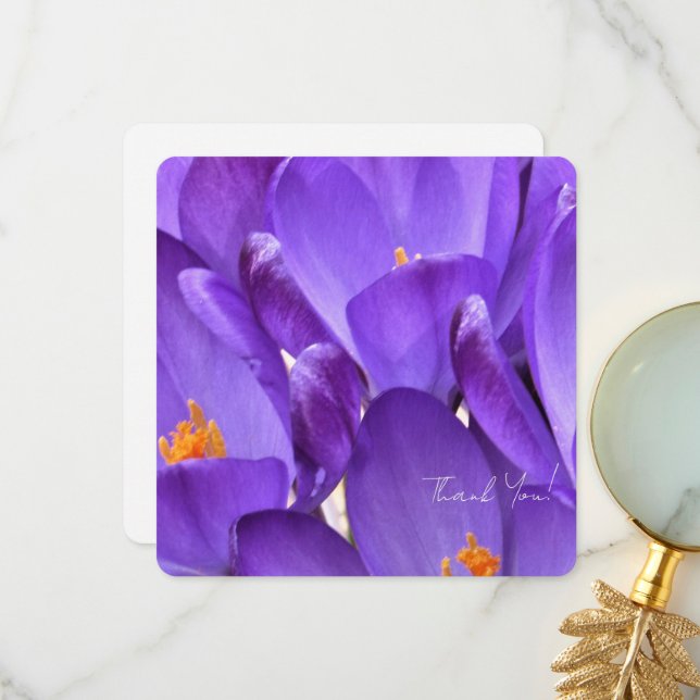 Spring Crocus Flower Photography Thank You Card (Front/Back In Situ)