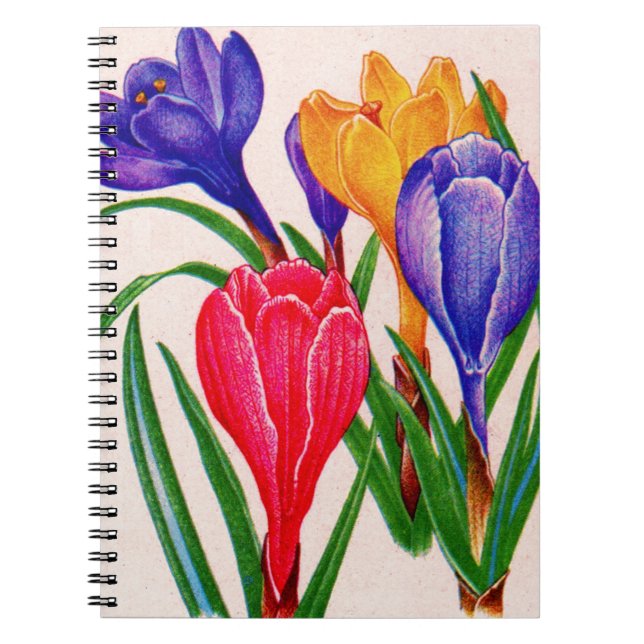 spring crocus notebook (Front)