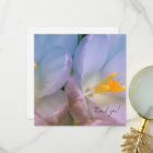 Spring Crocus Photography