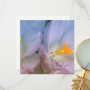 Spring Crocus Photography Thank You Card