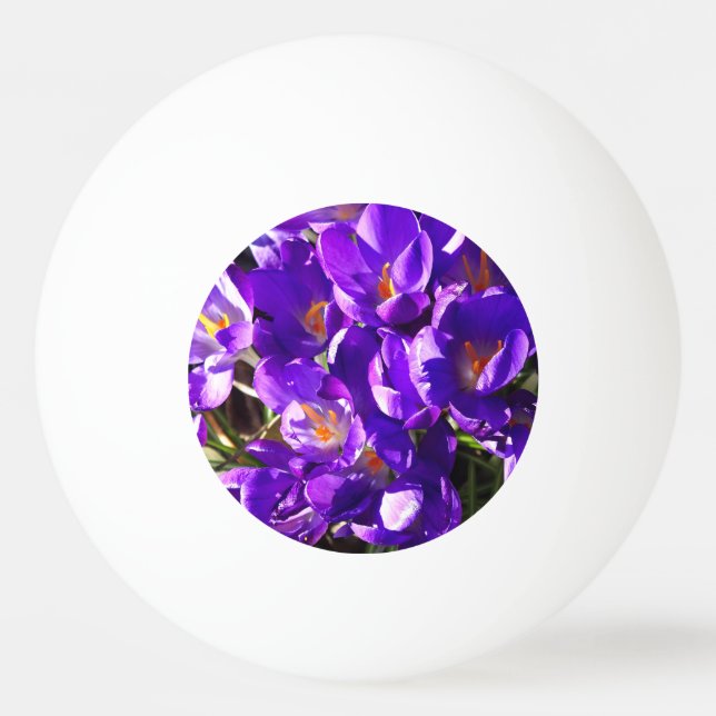 SPRING CROCUS PING PONG BALL (Front)