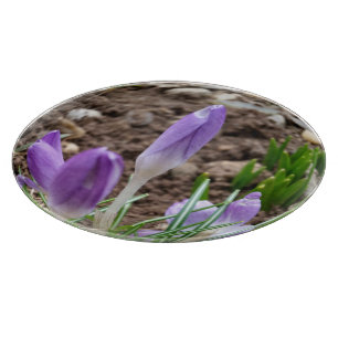 Spring crocuses cutting board