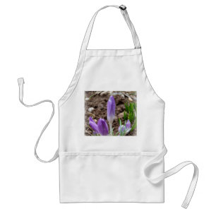 Spring crocuses standard apron