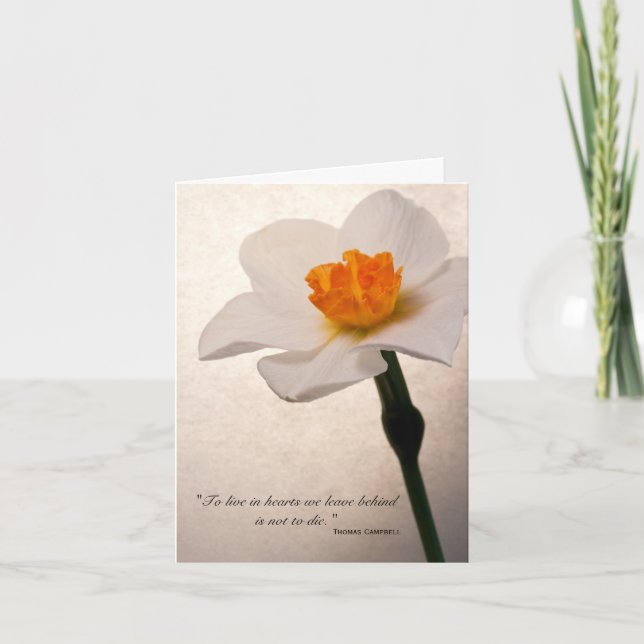 Spring Daffodil Thank You for Your Sympathy Card (Front)