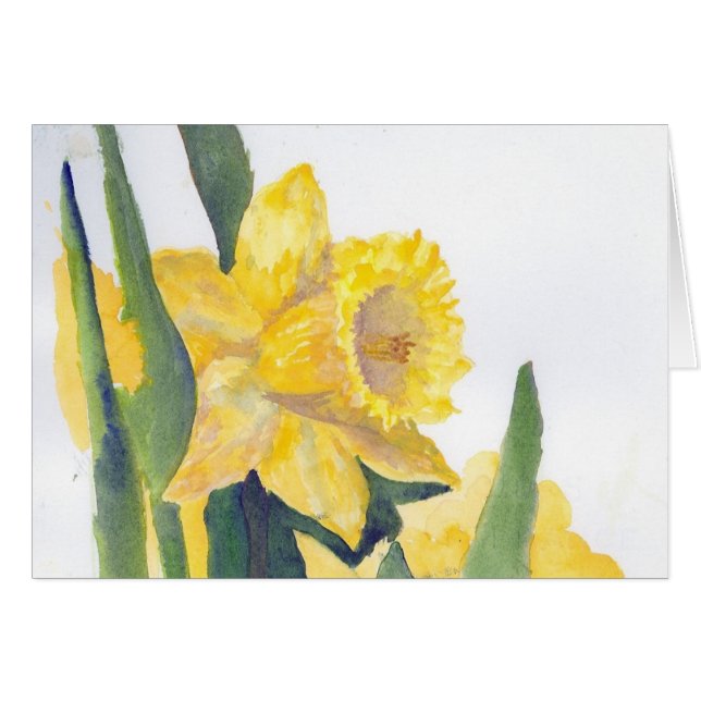 Spring Daffodils (Front Horizontal)
