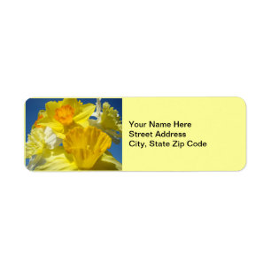 Spring Daffodils Address Labels stickers Floral