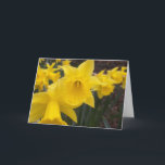 Spring daffodils card<br><div class="desc">the first daffodils of spring</div>