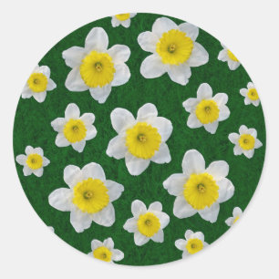 Spring Daffodils Classic Round Sticker
