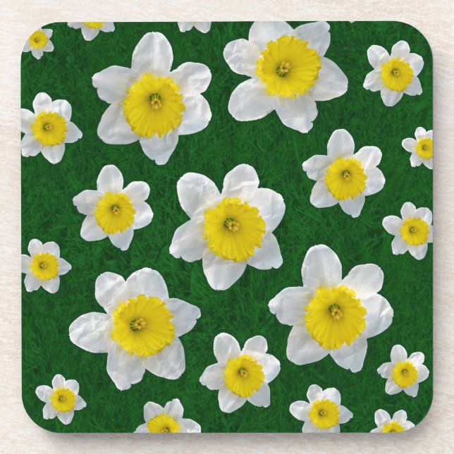Spring Daffodils Coaster (Front)