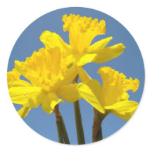 Spring Daffodils Flowers stickers Envelope seals