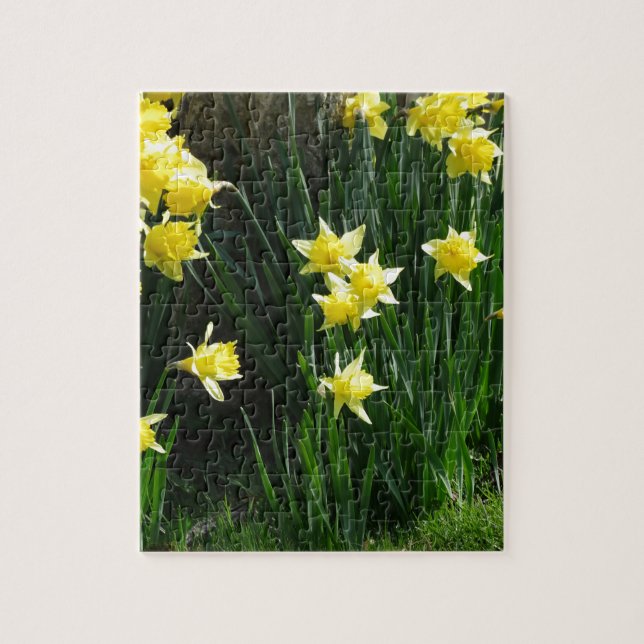 Spring Daffodils Jigsaw Puzzle (Vertical)