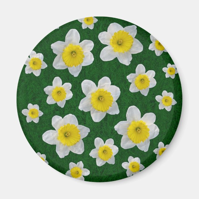 Spring Daffodils Magnet (Front)