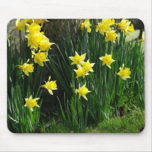 Spring Daffodils Mouse Pad