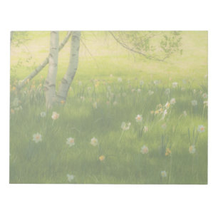 Spring Daffodils Notepad