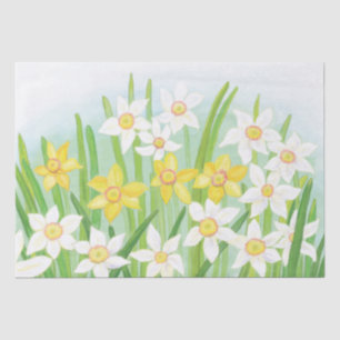 Spring Daffodils   Tissue Paper