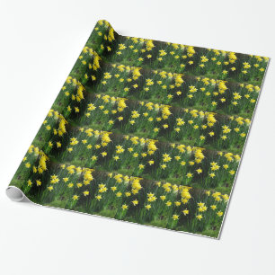 Spring Daffodils Wrapping Paper