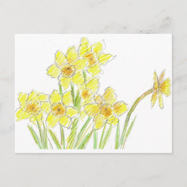 Spring Daffodils Yellow Watercolor Flowers Postcard (Front)