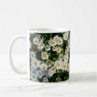 Spring Daisy Field: Serene Background