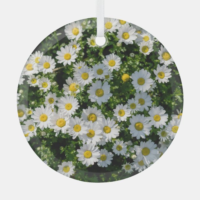 Spring Daisy Field: Serene Background Glass Ornament (Front)