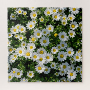 Spring Daisy Field: Serene Background Jigsaw Puzzle