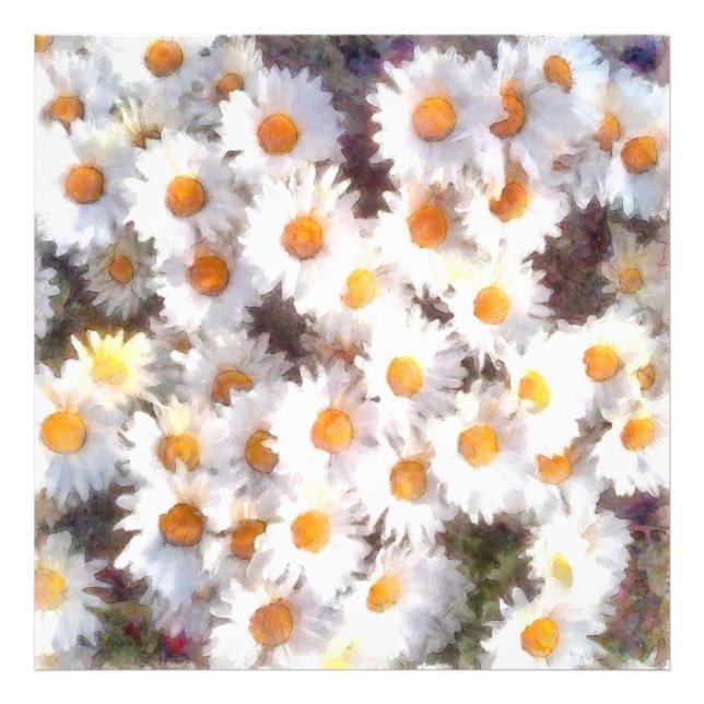 Spring Daisy Wildflower Watercolor Photo Print (Front)
