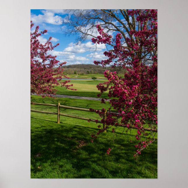 Spring Day In Rivercut Poster (Front)