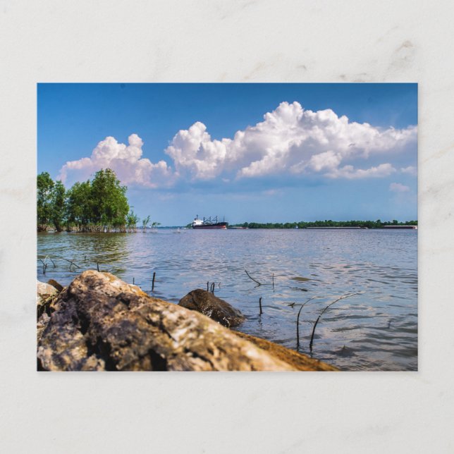 Spring day on the Mississippi River Postcard (Front)