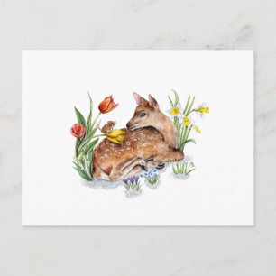 Spring Deer Postcard