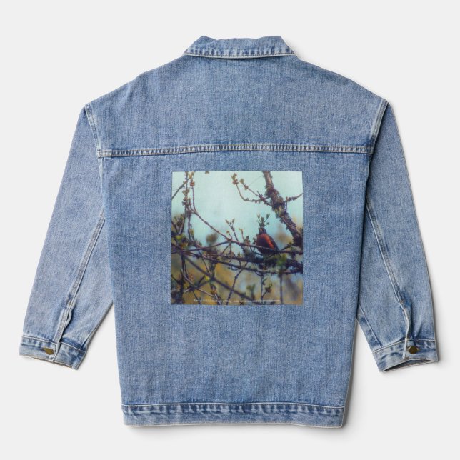 Spring Denim Jacket (Back)