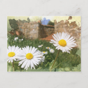 Spring.digitalArt. Postcard