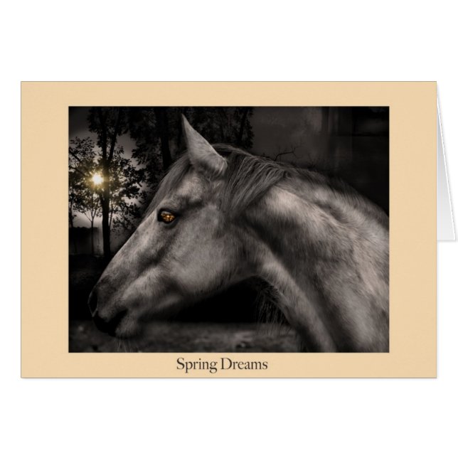 Spring Dreams (Front Horizontal)