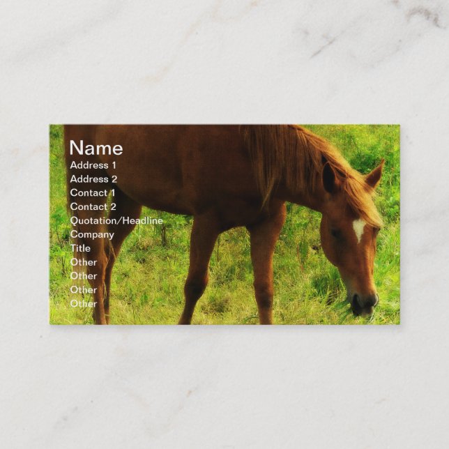 Spring Dreams, Sorrel Eating Grass Business Card (Front)
