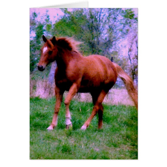 Spring Dreams, Sorrel Trotting (Front)