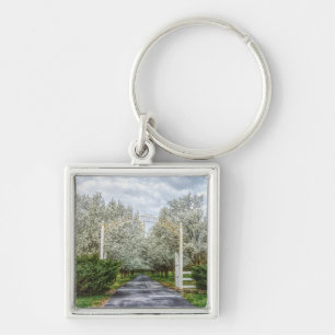 Spring Drive Home Keychain